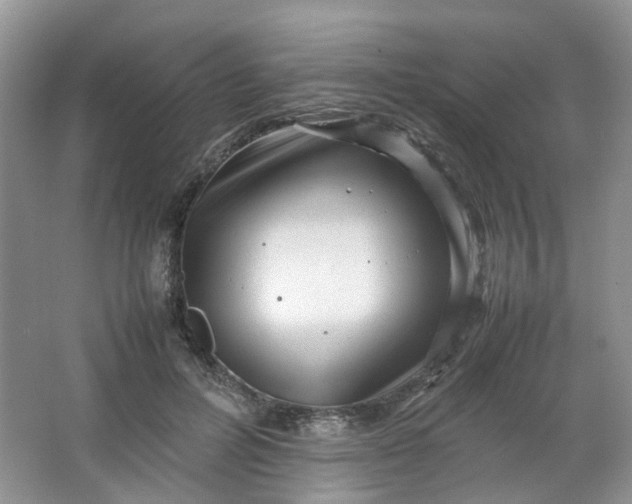 X0000066100600200603241520