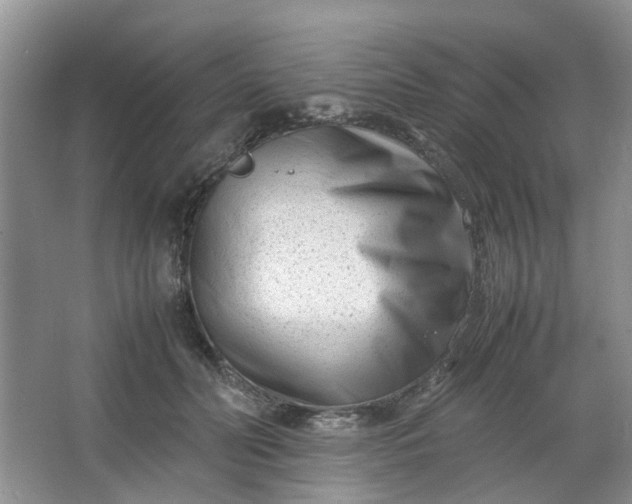 X0000066100606200603241520