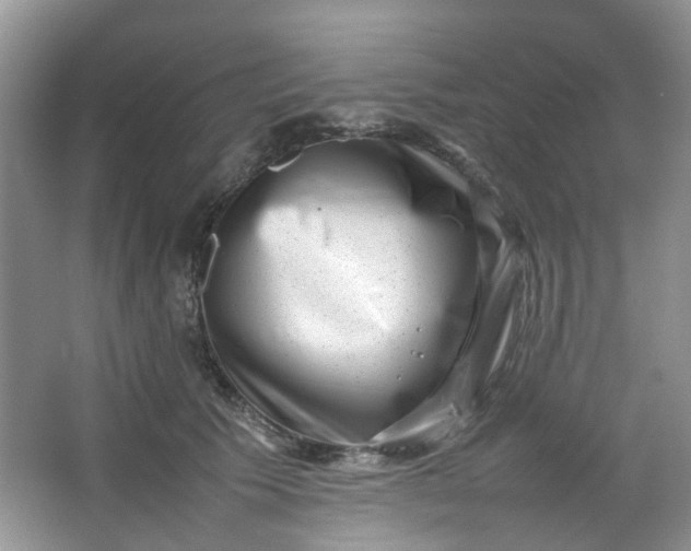 X0000066100609200603241520