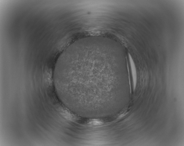 X0000066100610200603241520