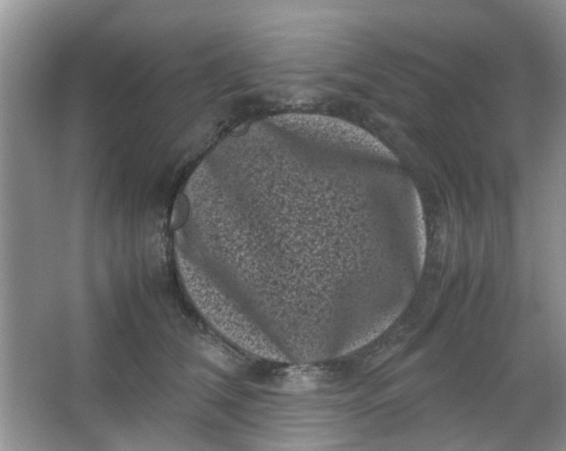 X0000066100612200603241520