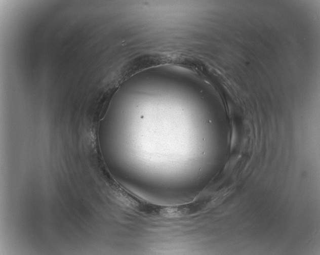 X0000066100613200603241520