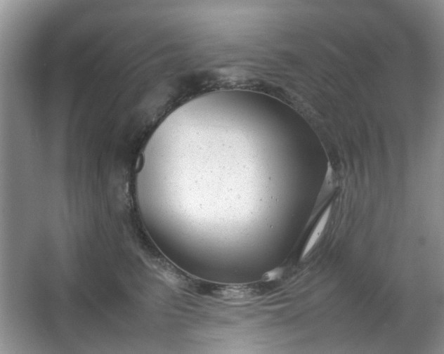 X0000066100615200603241520