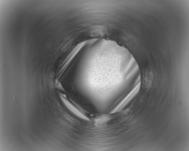 X0000066100616200603241520