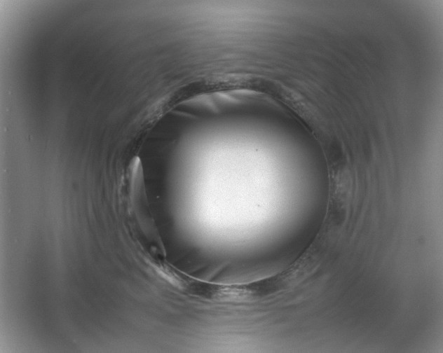 X0000066100617200603241520