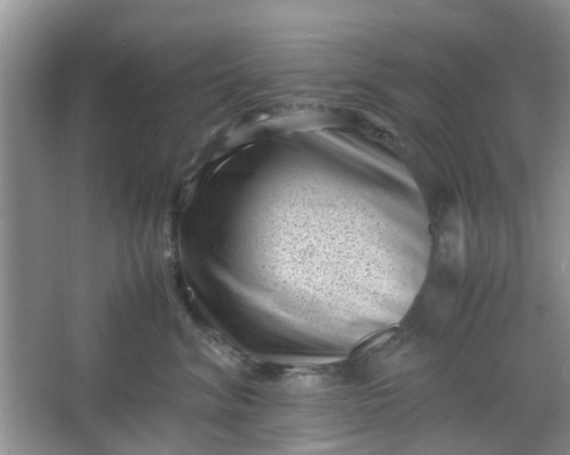 X0000066100620200603241520