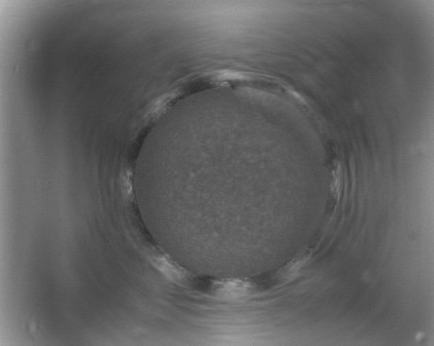 X0000066100621200603241520