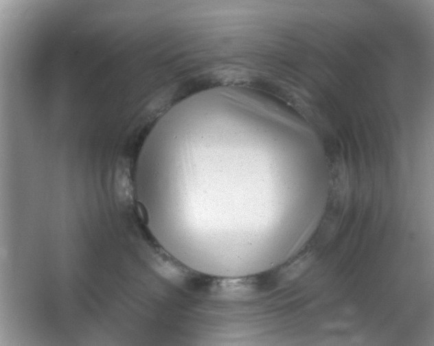 X0000066100622200603241520