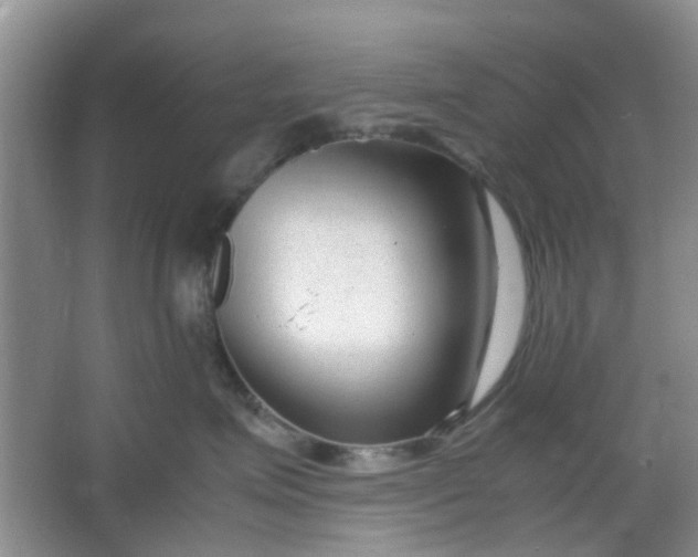 X0000066100623200603241520