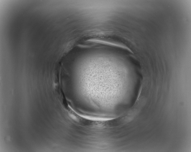 X0000066100624200603241520