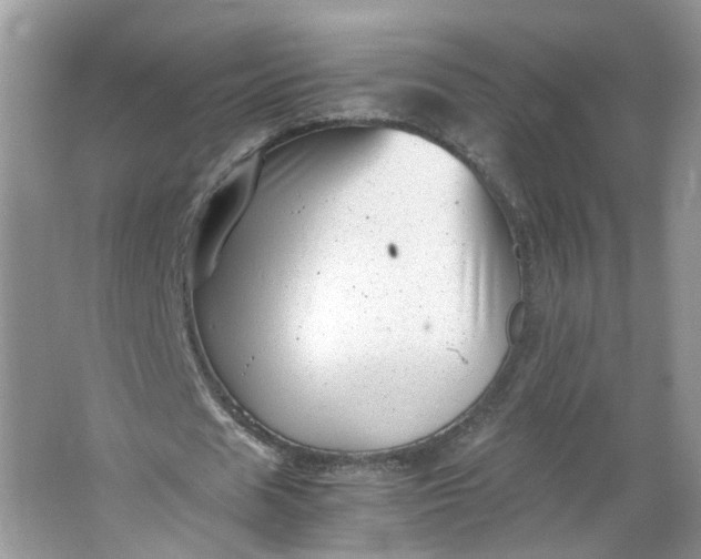 X0000066100625200603241519