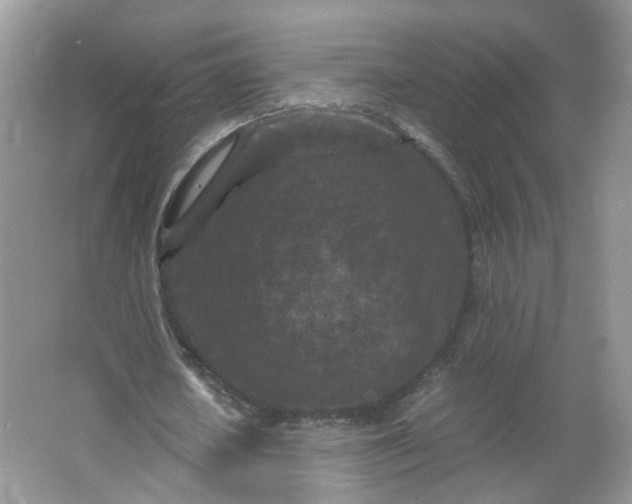 X0000066100626200603241519