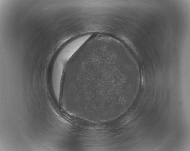 X0000066100627200603241519