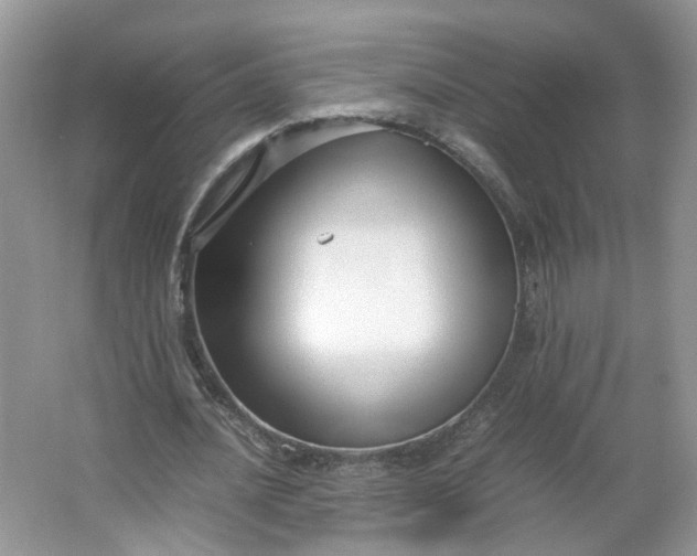 X0000066100628200603241519