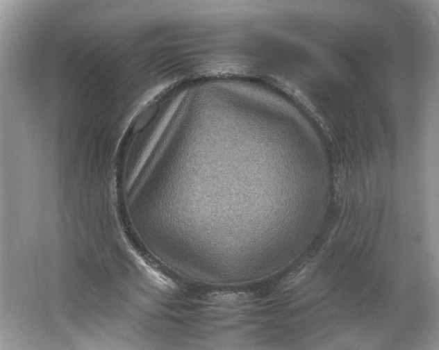 X0000066100629200603241519