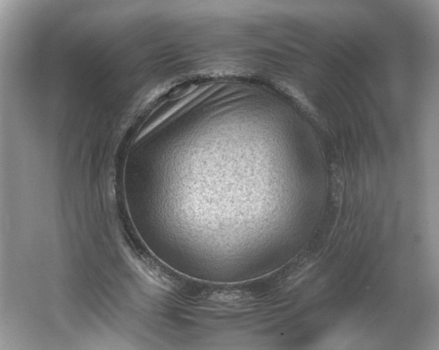 X0000066100631200603241519