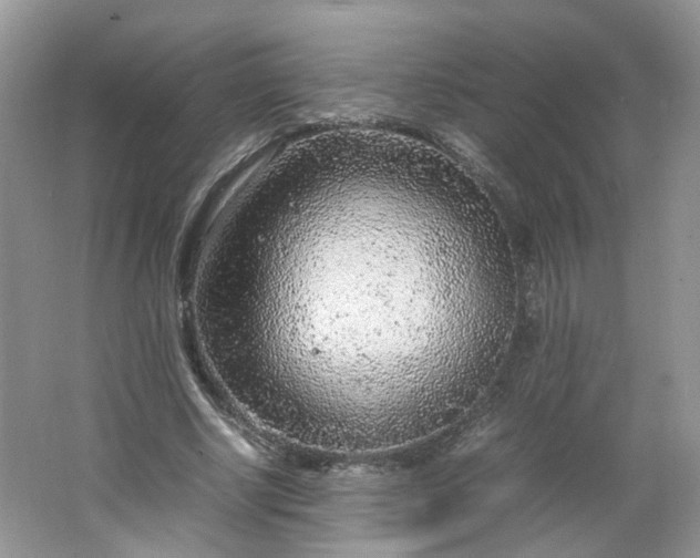 X0000066100634200603241519