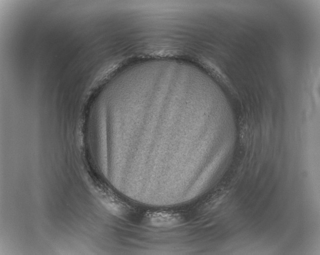 X0000066100635200603241519