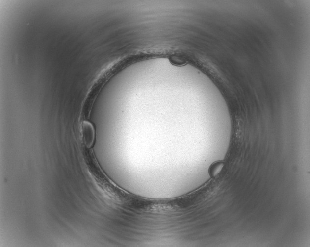 X0000066100636200603241519