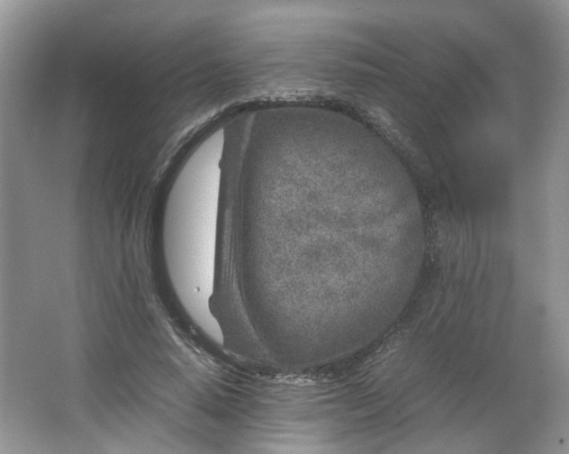 X0000066100640200603241519