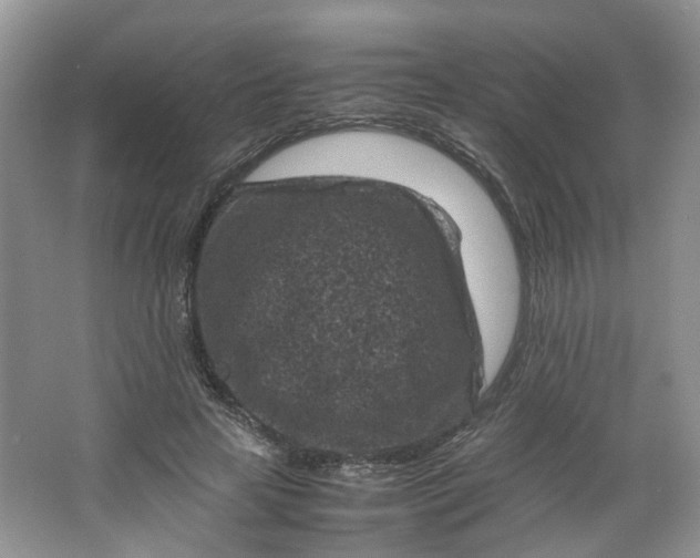 X0000066100641200603241519