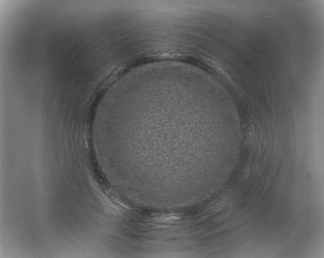 X0000066100643200603241519