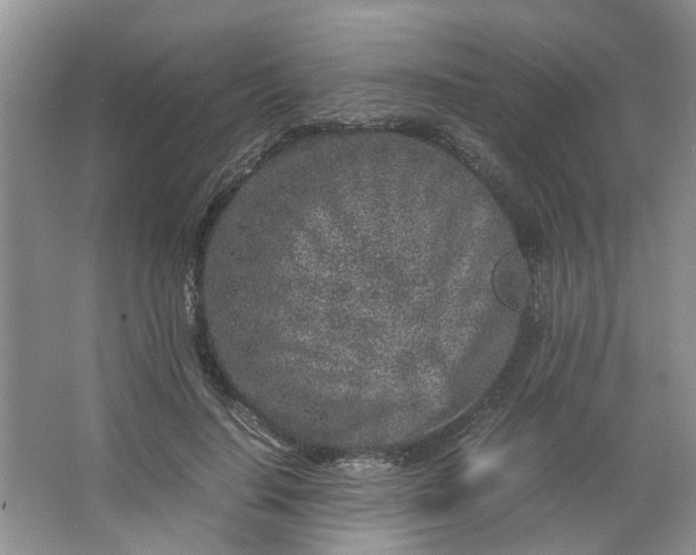 X0000066100644200603241519