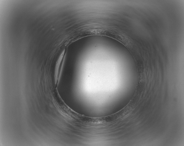 X0000066100646200603241519