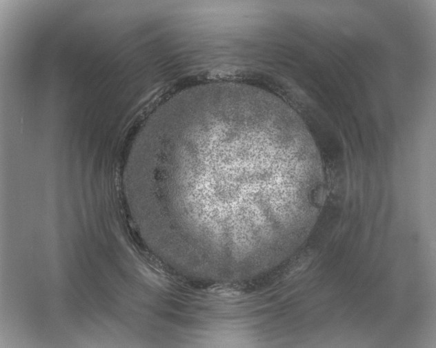 X0000066100648200603241519