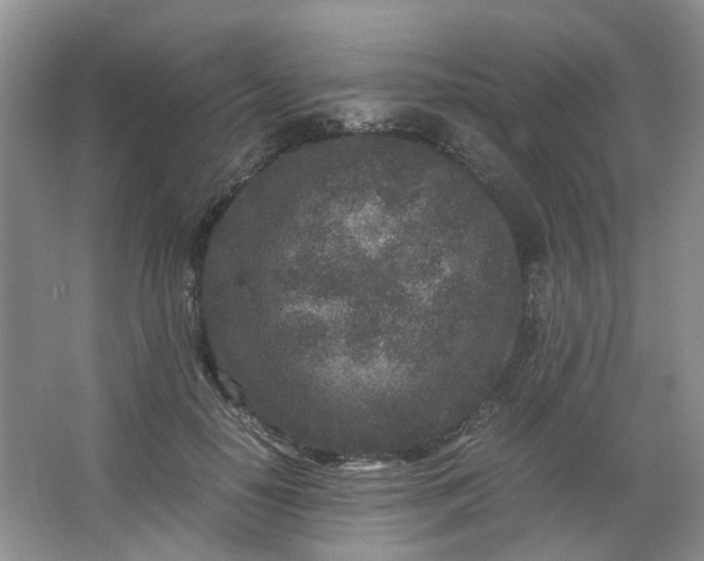 X0000066100650200603241519