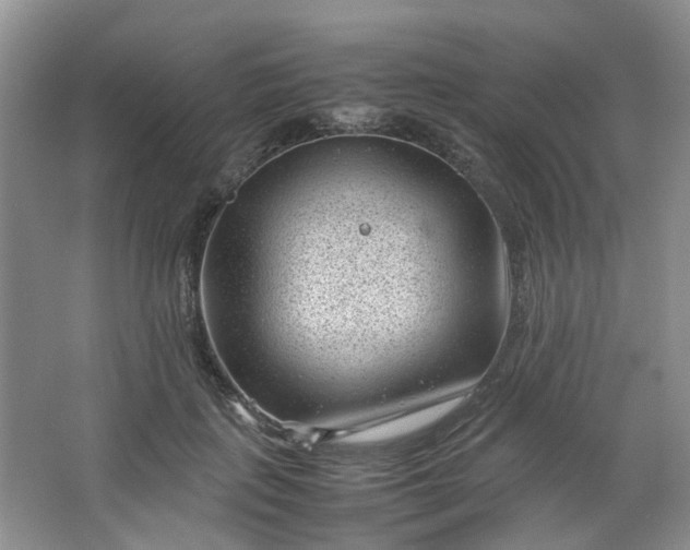 X0000066100651200603241519