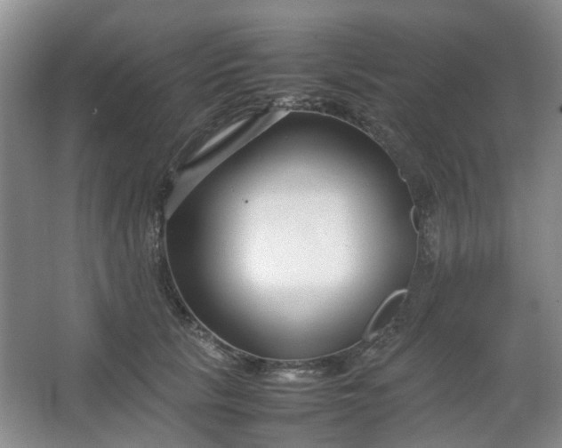 X0000066100657200603241519