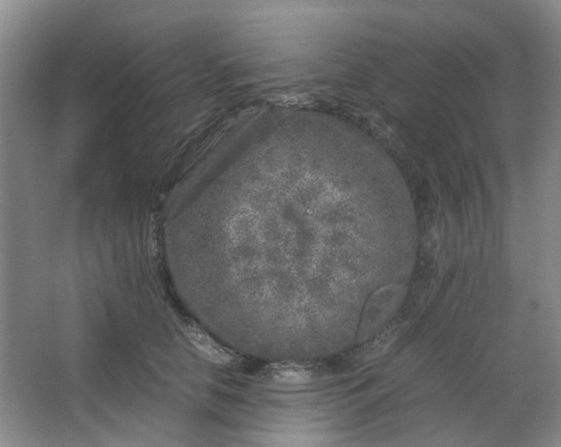 X0000066100658200603241519