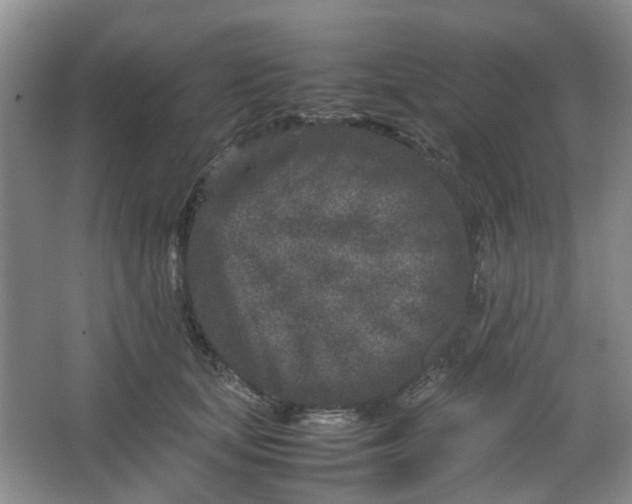 X0000066100659200603241519