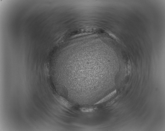 X0000066100661200603241519