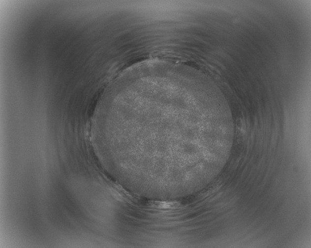 X0000066100663200603241519