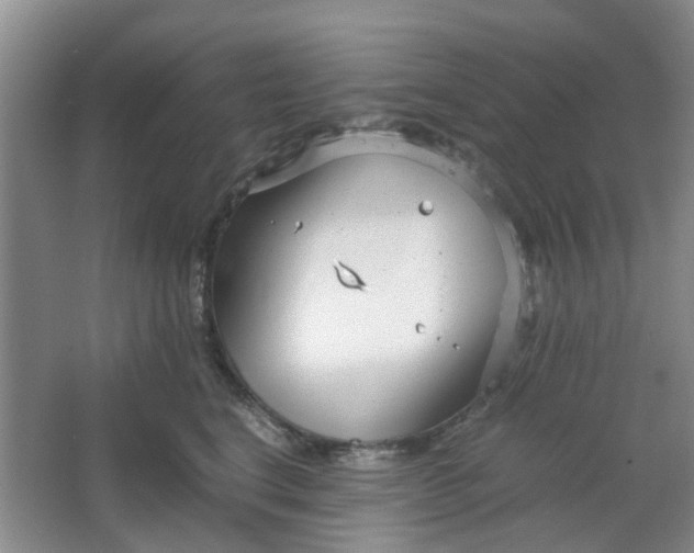 X0000066100664200603241519