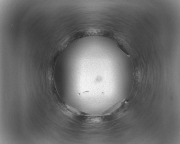 X0000066100665200603241519