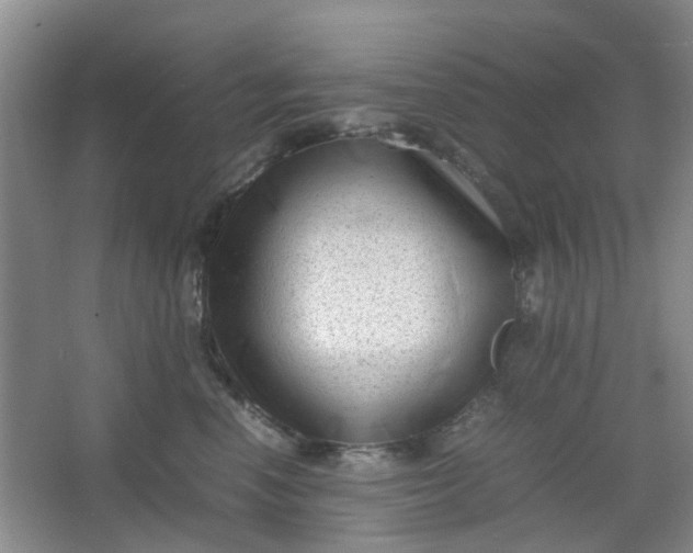 X0000066100666200603241519