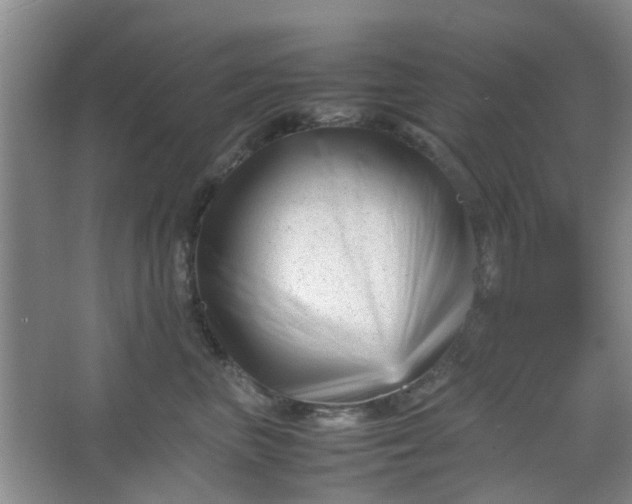 X0000066100667200603241519