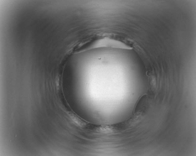 X0000066100668200603241520