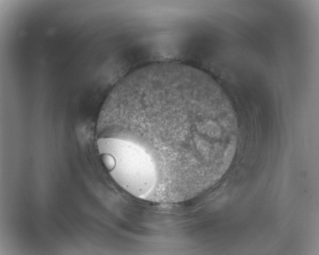 X0000066100672200603241520