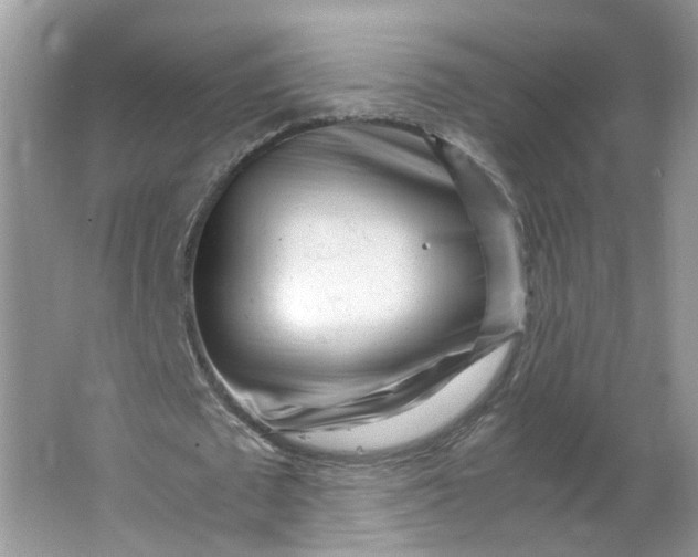 X0000066100673200603241519