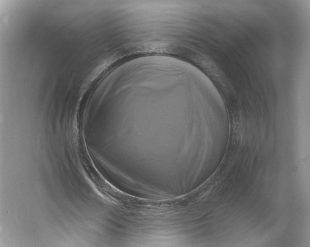 X0000066100674200603241519