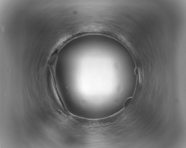 X0000066100675200603241519