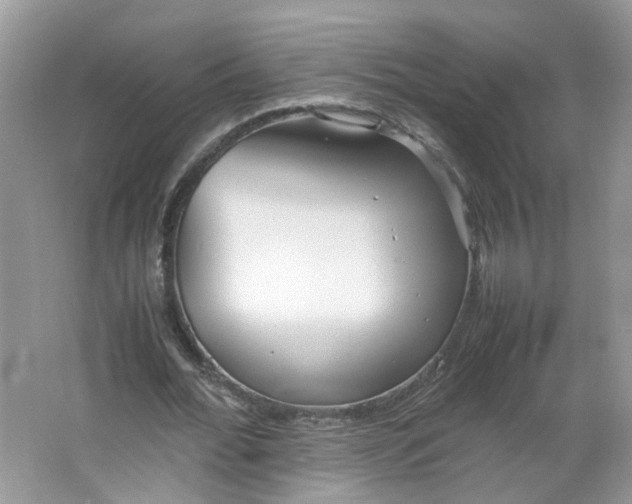 X0000066100676200603241519