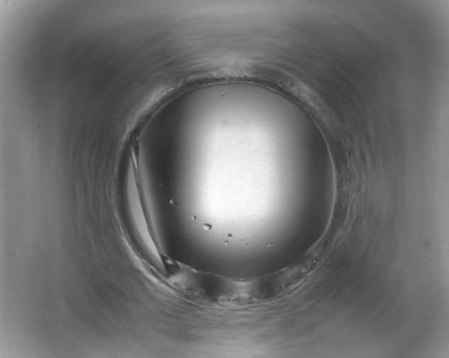 X0000066100677200603241519