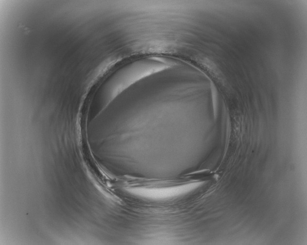 X0000066100678200603241519