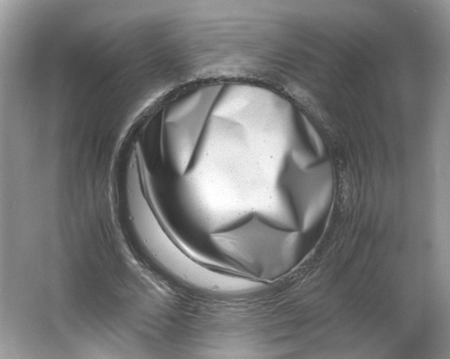 X0000066100680200603241519