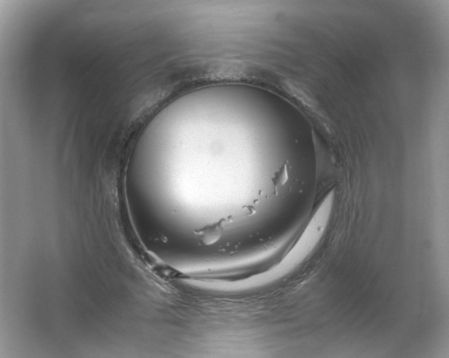 X0000066100681200603241519